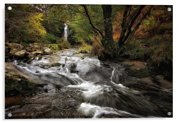 Brecon Beacons Waterfall  Acrylic by Simon Rees