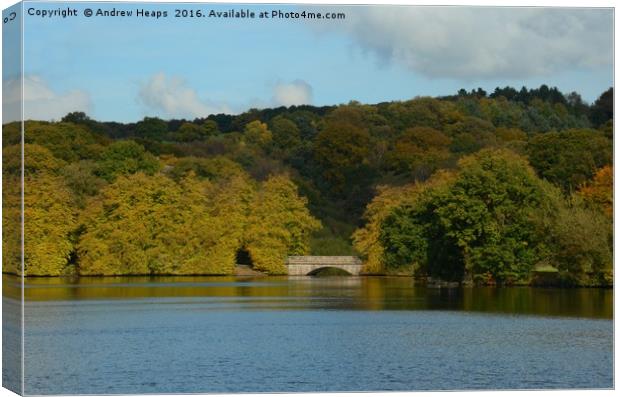 Local Lake in Staffordshire Canvas Print by Andrew Heaps