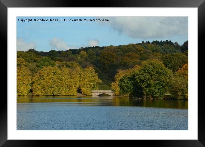 Local Lake in Staffordshire Framed Mounted Print by Andrew Heaps