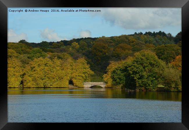 Local Lake in Staffordshire Framed Print by Andrew Heaps
