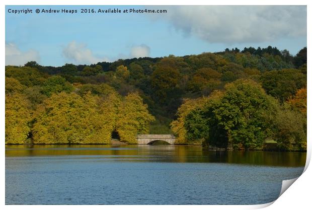 Local Lake in Staffordshire Print by Andrew Heaps