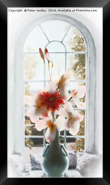 Flowers in Vase at Window #1 Framed Print by Peter Yardley