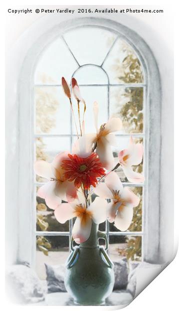 Flowers in Vase at Window #1 Print by Peter Yardley