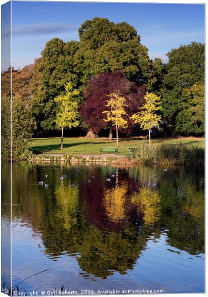 Autumn colour Canvas Print by Gwil Roberts