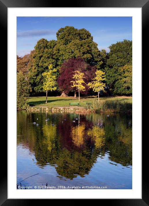 Autumn colour Framed Mounted Print by Gwil Roberts