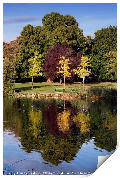 Autumn colour Print by Gwil Roberts