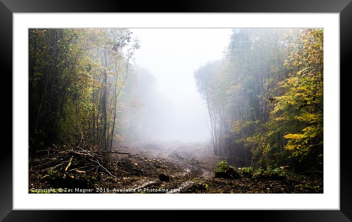 Foggy Forest Colour Framed Mounted Print by Zac Magner