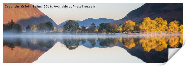 Arboreal Buttermere Print by John Ealing