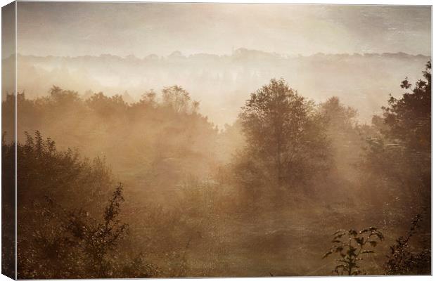 Autumn Mists Canvas Print by Jackie Davies