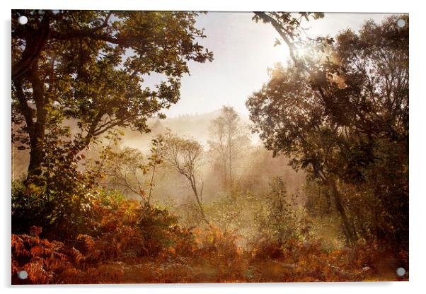 Autumn Mornings Acrylic by Jackie Davies