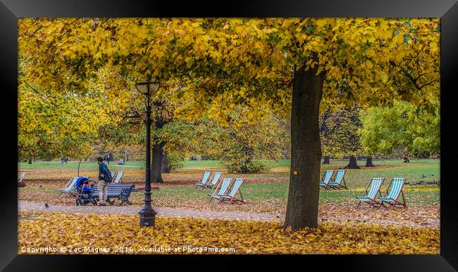 Seasonal Relaxation Framed Print by Zac Magner