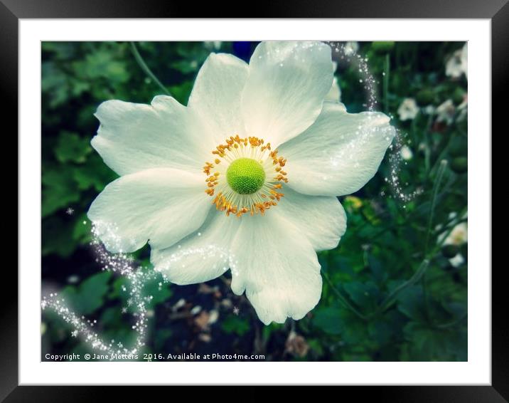 Add Some Sparkle Framed Mounted Print by Jane Metters