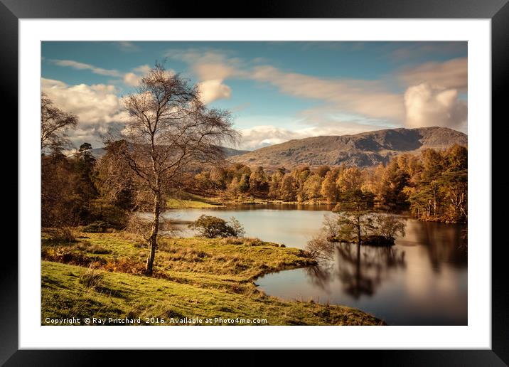 Tarn Hows Framed Mounted Print by Ray Pritchard