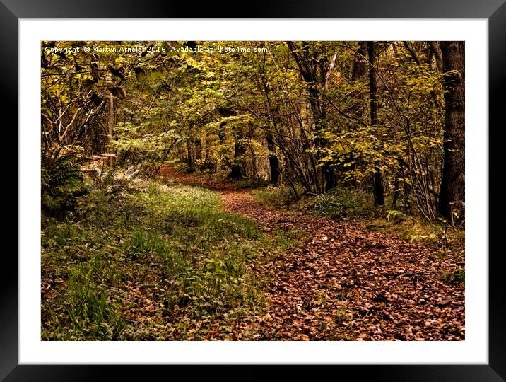 A Walk Through the Leaves Framed Mounted Print by Martyn Arnold