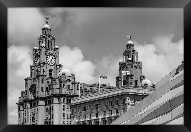 The Liver Buildings Framed Print by Mark Baker