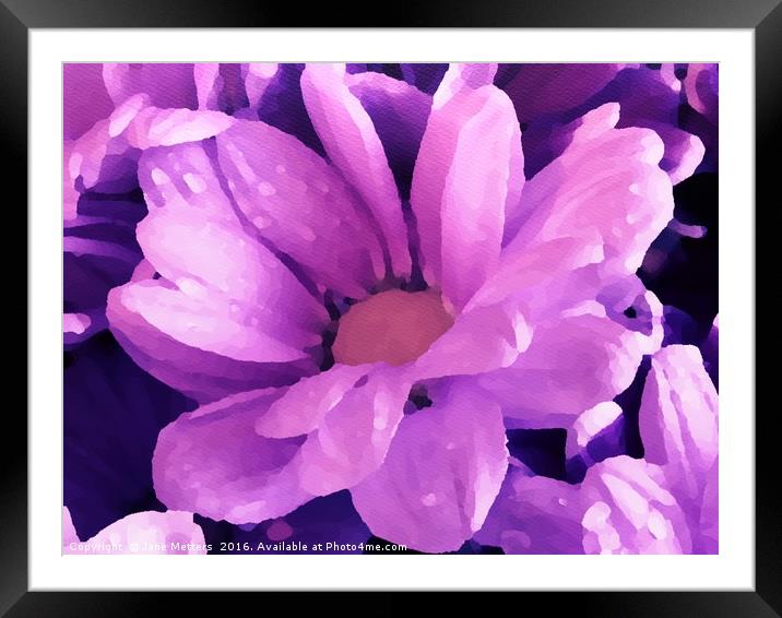     Purple Painted Flower                          Framed Mounted Print by Jane Metters