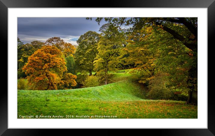 Autumn Leaves Framed Mounted Print by AMANDA AINSLEY