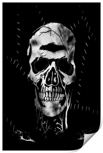 The skull Print by Jonathan Thirkell