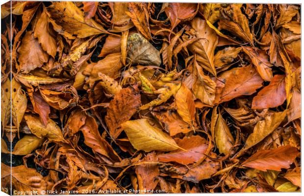 Autumn Beech Leaf Carpet in a woodland  Canvas Print by Nick Jenkins