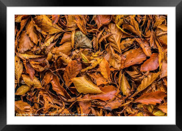 Autumn Beech Leaf Carpet in a woodland  Framed Mounted Print by Nick Jenkins