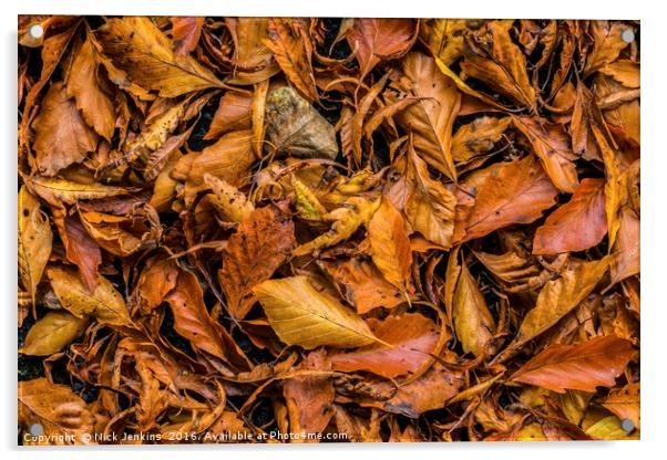 Autumn Beech Leaf Carpet in a woodland  Acrylic by Nick Jenkins