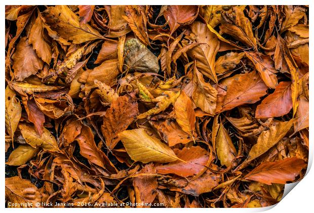 Autumn Beech Leaf Carpet in a woodland  Print by Nick Jenkins