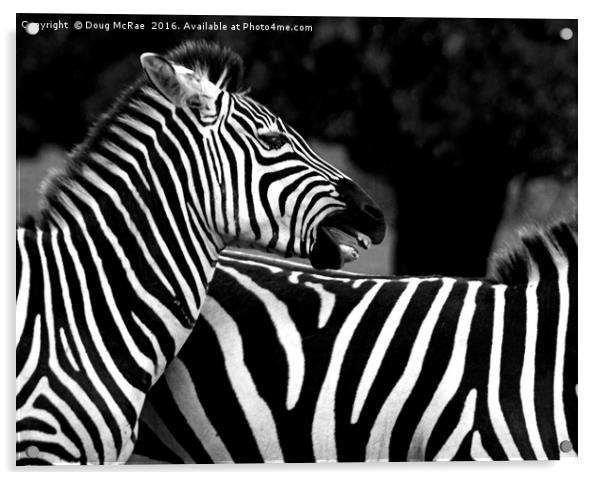 Zebra Acrylic by Doug McRae