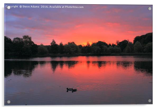 Wollaton sunrise at the Lake Acrylic by Steve Adams