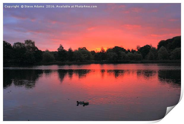 Wollaton sunrise at the Lake Print by Steve Adams