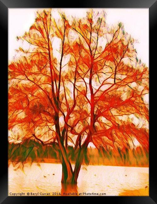 Majestic Autumn Tree Framed Print by Beryl Curran