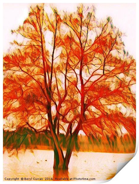 Majestic Autumn Tree Print by Beryl Curran