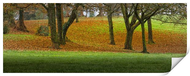 Autumn greens and orange Print by Leighton Collins