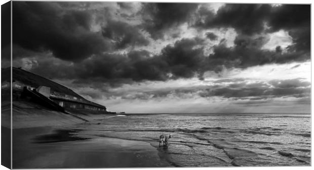 Sand, Sea and Clouds Monochrome Canvas Print by Carl Blackburn