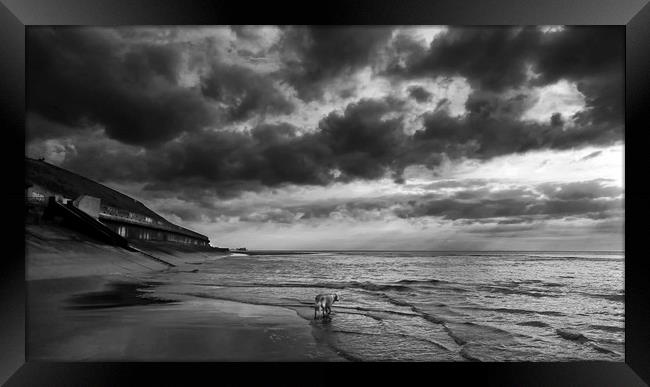 Sand, Sea and Clouds Monochrome Framed Print by Carl Blackburn