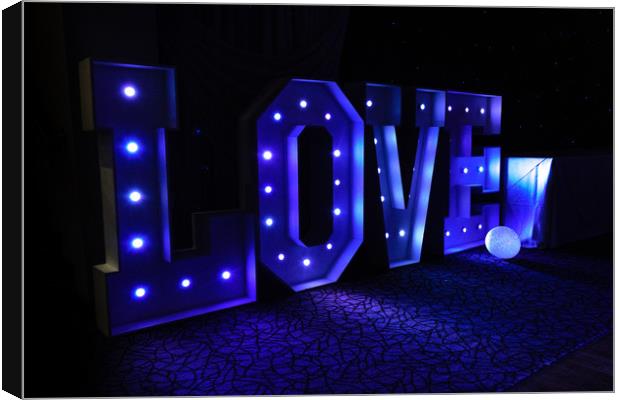 Love is Blue Canvas Print by Mark Baker