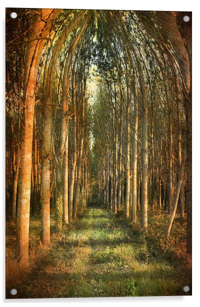 Arch of Trees.  Acrylic by Irene Burdell