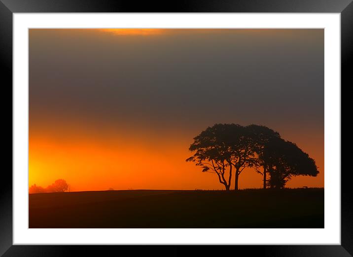 Trees at Sunrise Framed Mounted Print by Gavin Liddle