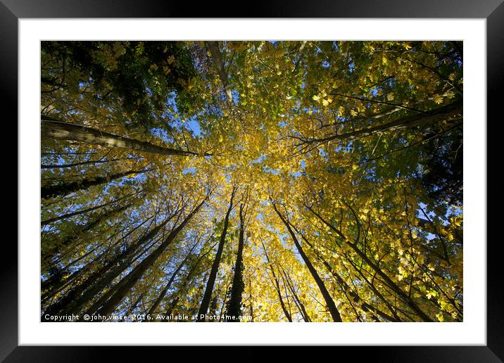 Look Up Framed Mounted Print by john vince