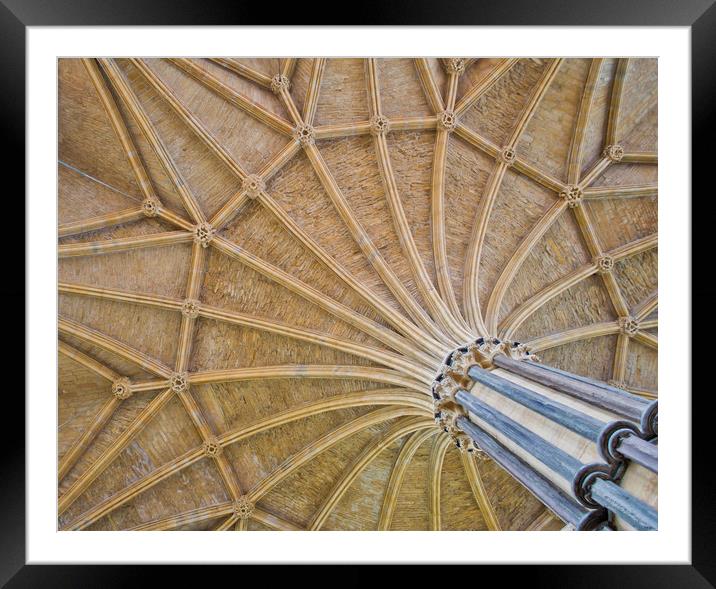 Vaulted Ceiling in Lincoln Cathedral Framed Mounted Print by Andy Heap