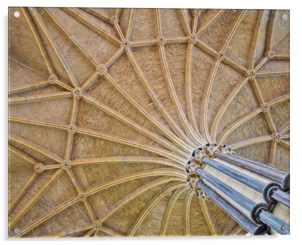 Vaulted Ceiling in Lincoln Cathedral Acrylic by Andy Heap