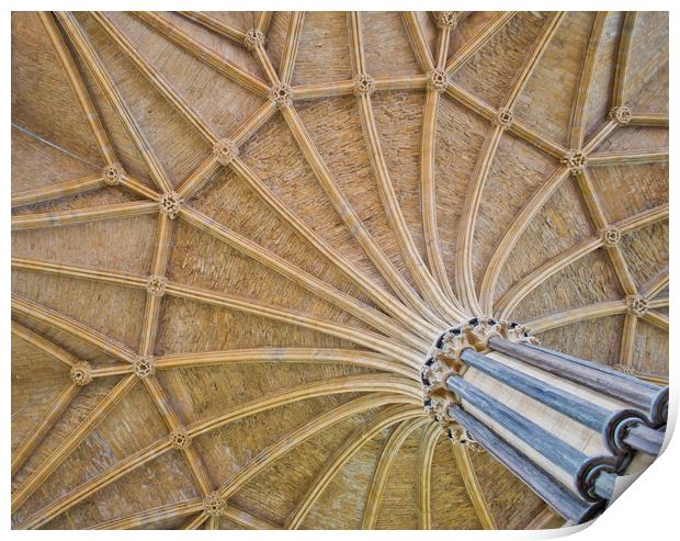 Vaulted Ceiling in Lincoln Cathedral Print by Andy Heap