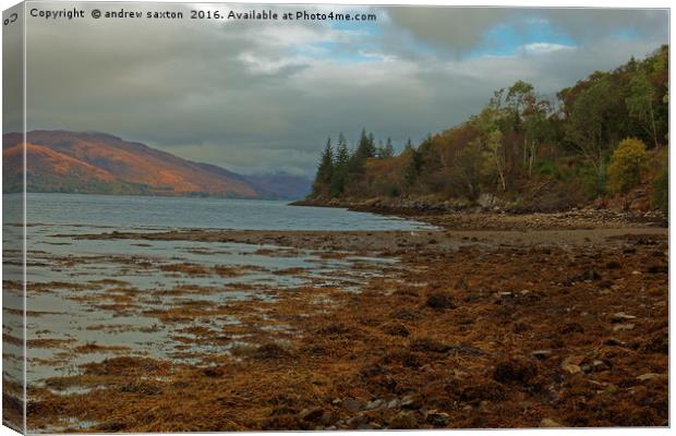 ALONG THE LOCH Canvas Print by andrew saxton