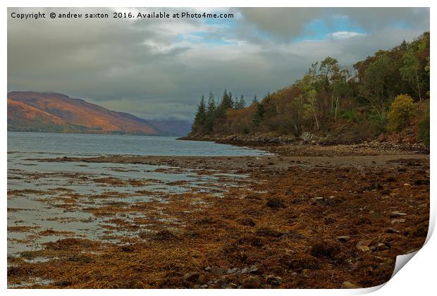 ALONG THE LOCH Print by andrew saxton