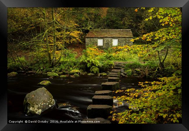 Cabin in the woods Framed Print by David Oxtaby  ARPS