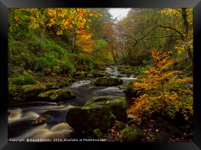 River through Hardcastle Crags Framed Print by David Oxtaby  ARPS