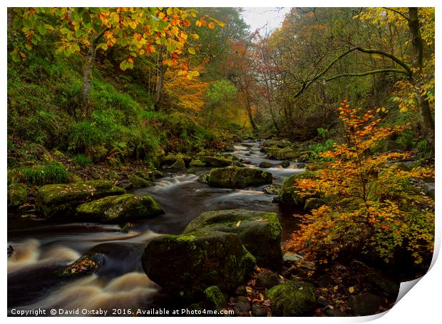 River through Hardcastle Crags Print by David Oxtaby  ARPS