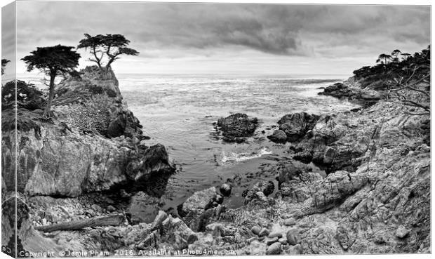 The famous Lone Cypress tree at Pebble Beach in Mo Canvas Print by Jamie Pham