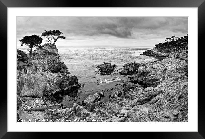 The famous Lone Cypress tree at Pebble Beach in Mo Framed Mounted Print by Jamie Pham
