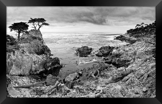 The famous Lone Cypress tree at Pebble Beach in Mo Framed Print by Jamie Pham