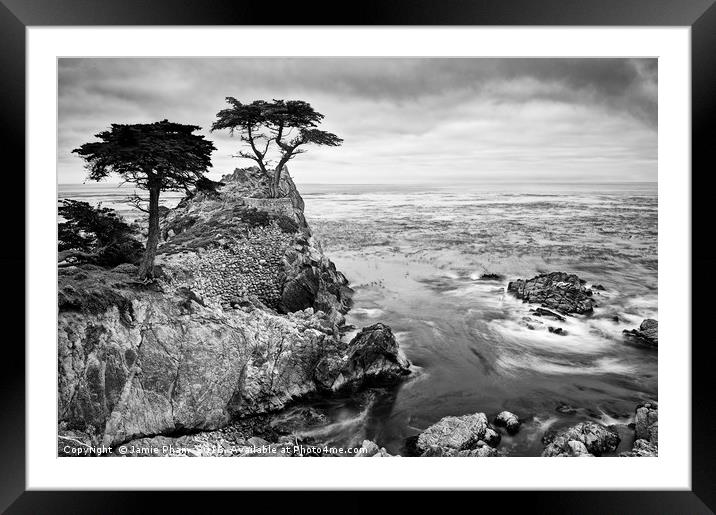 The famous Lone Cypress tree at Pebble Beach in Mo Framed Mounted Print by Jamie Pham
